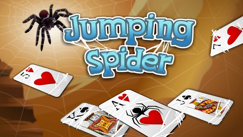 Image Jumping Spider
